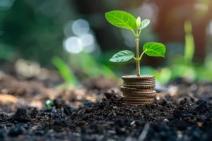 Finance Mastery Workshop